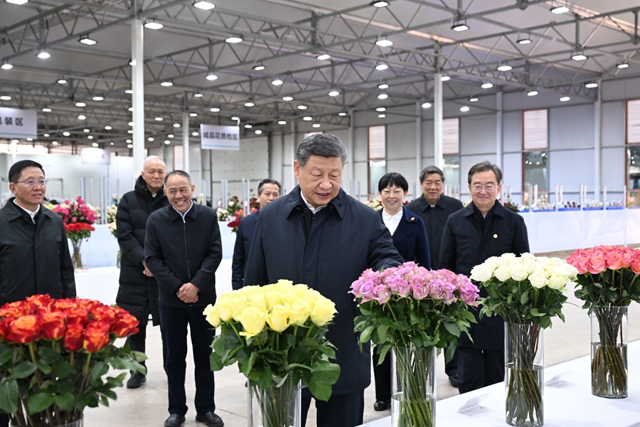 习近平-云南-1.jpg